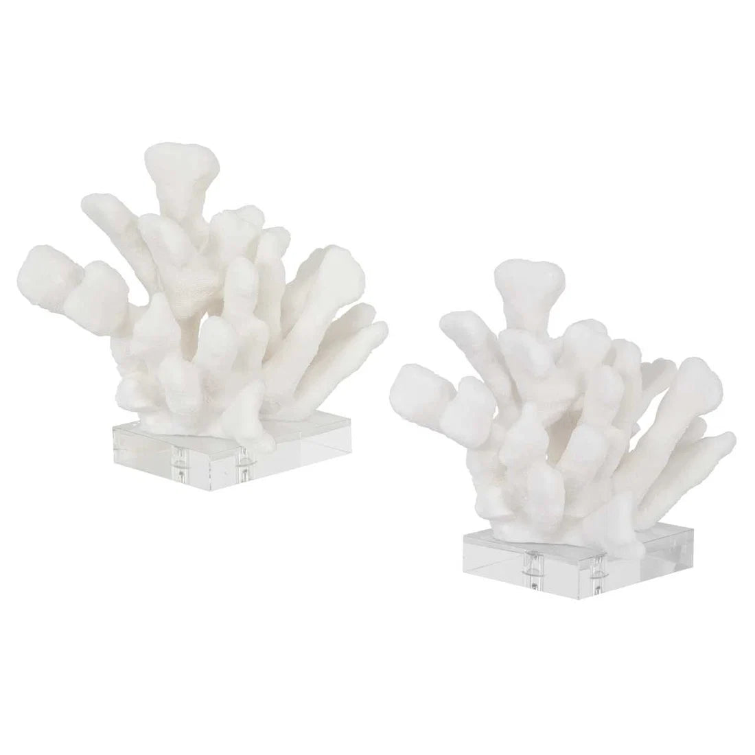Charbel Bookends