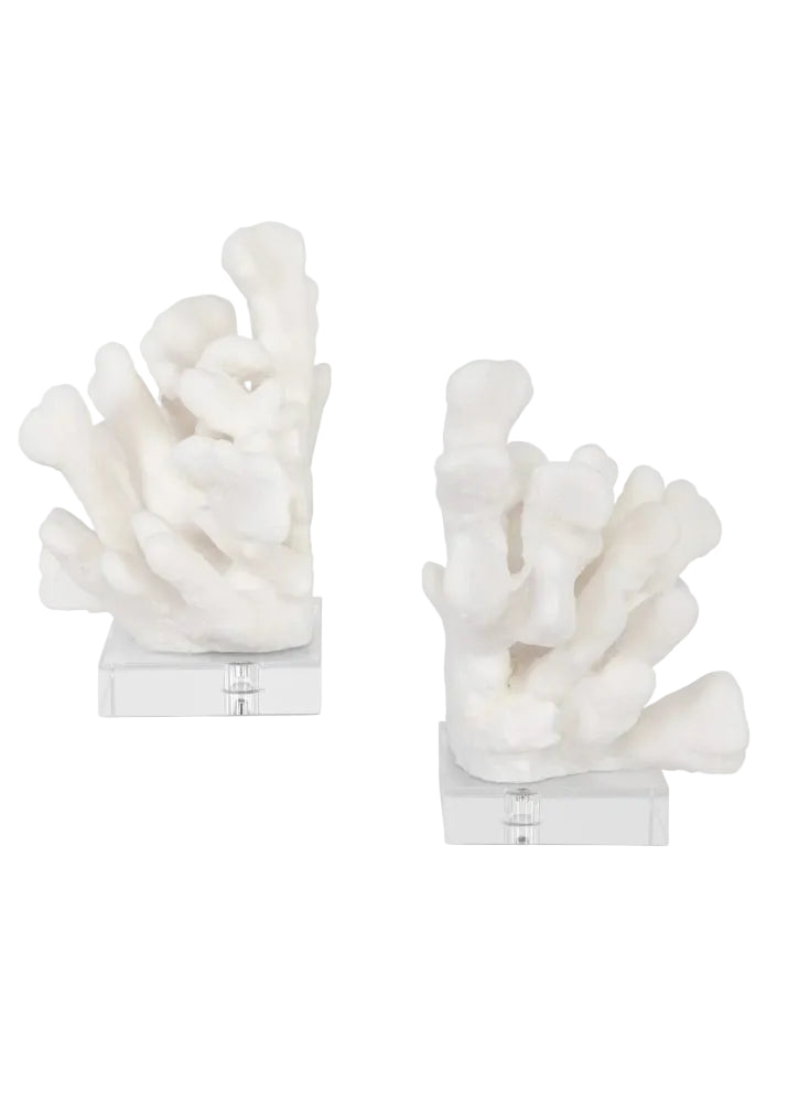 Charbel Bookends